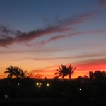 IMG_0129