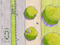 Plan View